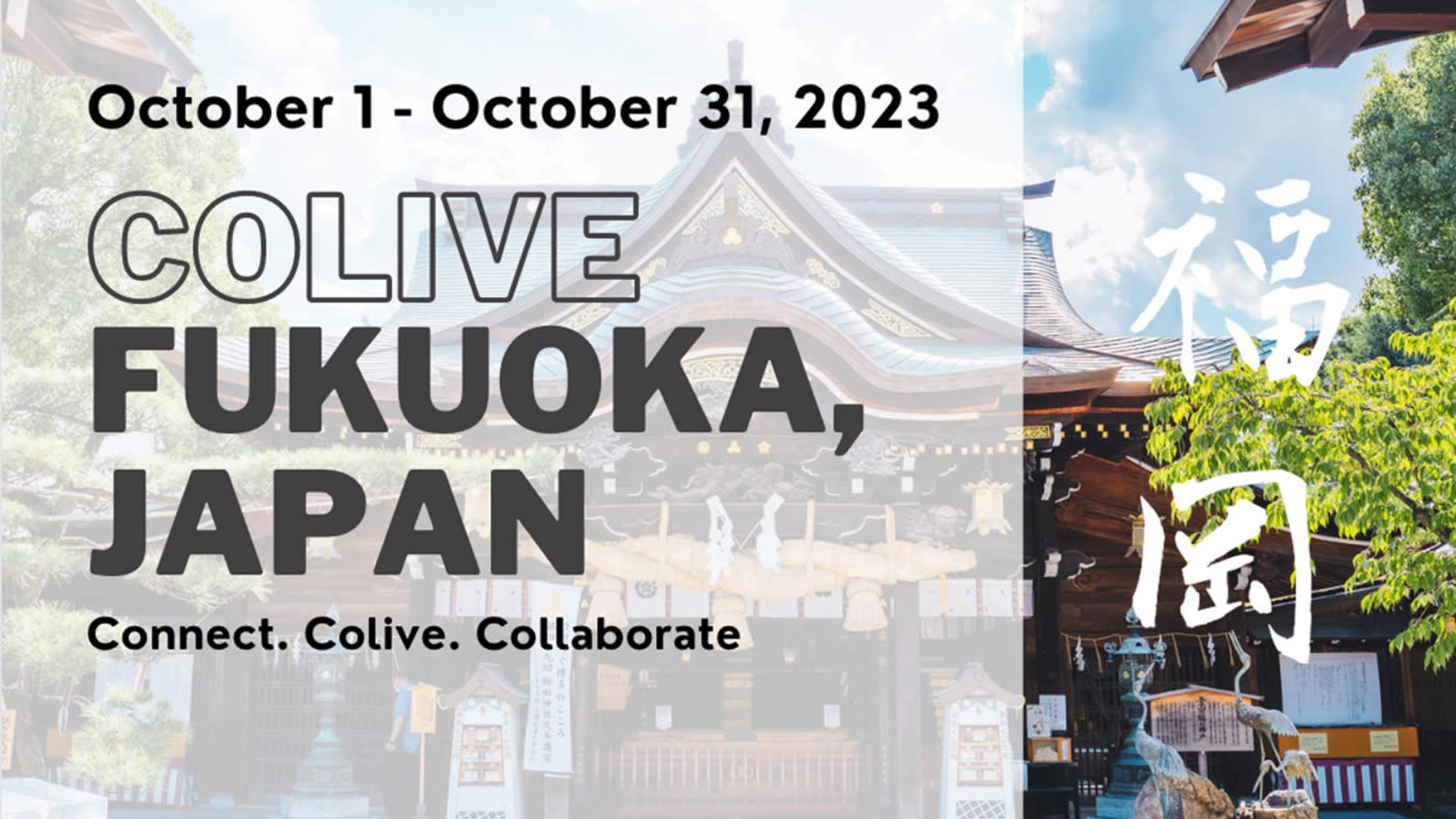 colive fukuoka