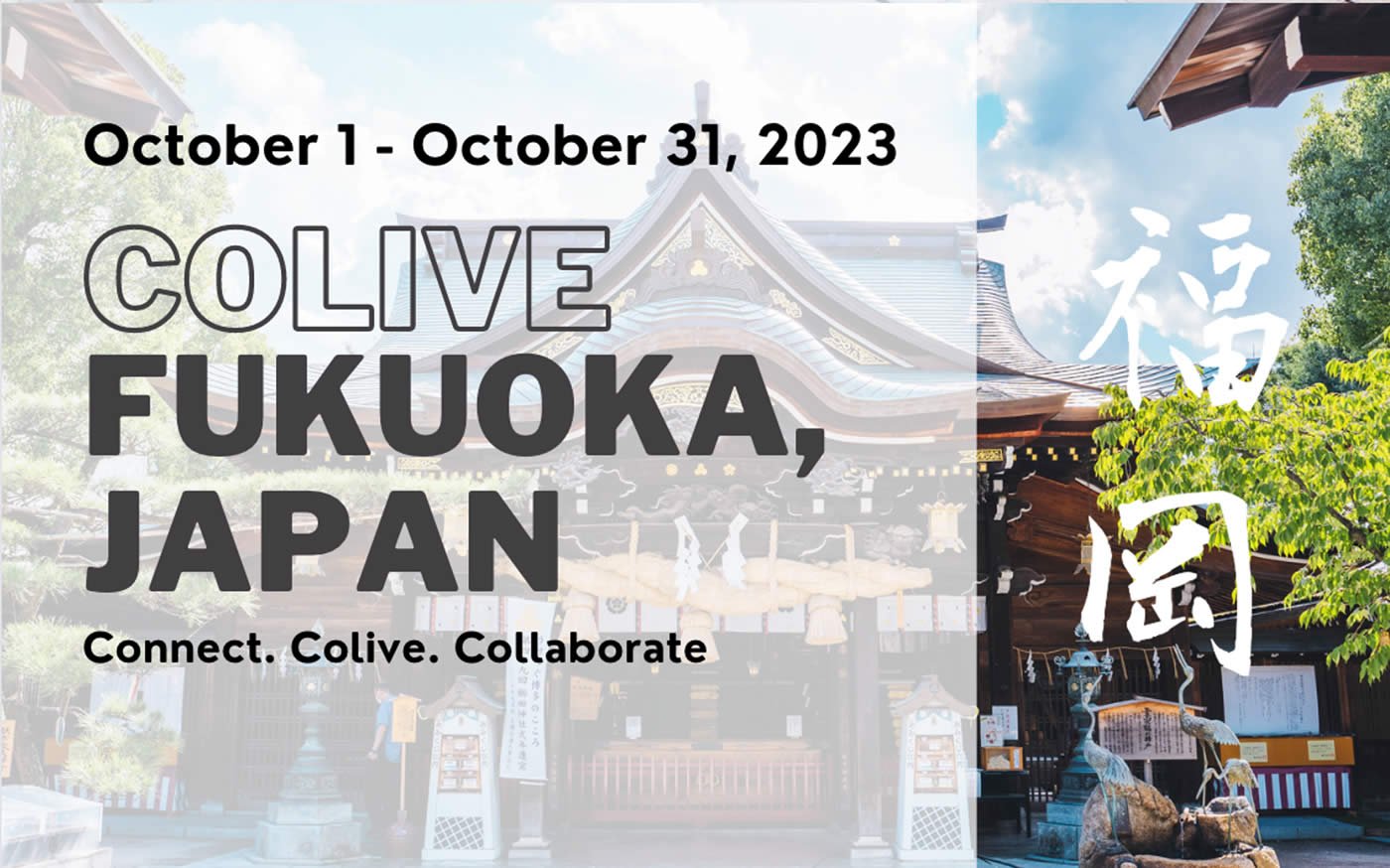 colive fukuoka